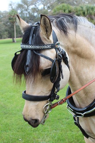 Luxe Patent Leather Bridle