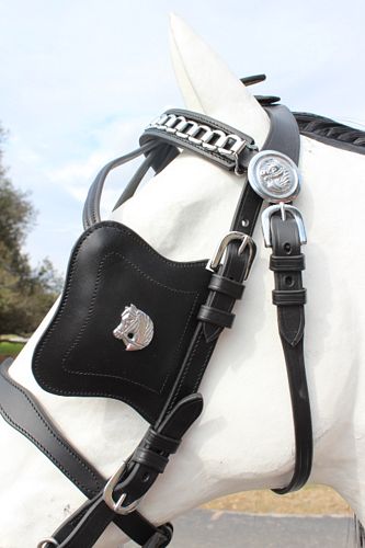 Friesian Leather Bridle